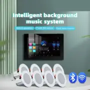 Bluetooth Wall Amplifier Ceiling Speaker Stereo Home Theater Sound System 25W
