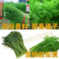 在飛比找蝦皮購物優惠-🌱茴香種子 高級香料甜茴香種子200顆23元 茴香.肉質甘香