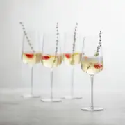Schott Zwiesel Vervino Champagne Glass, Set of 4