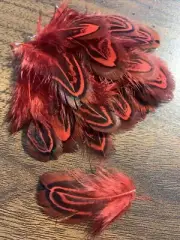 50pcs Natural Real Red Pheasant Feathers DIY Craft Millinery Jewellery