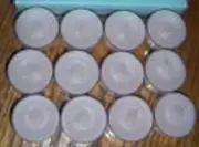 Partylite 2 boxes WHITE AMARYLLIS Tealights low ship