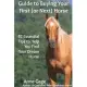 Guide to Buying Your First (or Next) Horse