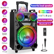Wireless 12" Subwoofer Portable Bluetooth Speaker Karaoke Machine & Mic Light FM