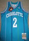 Larry Johnson Charlotte Hornets Mitchell & Ness Men's Medium Swingman Jersey