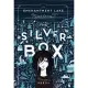 The Silver Box: An Enchantment Lake Mystery