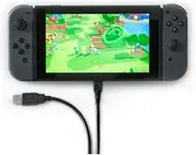 Numskull Nintendo Switch USB C Fast Charge Cable