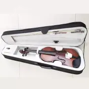 4/4 Full Size Acoustic Violin Musical Instrument with Case and Accessory