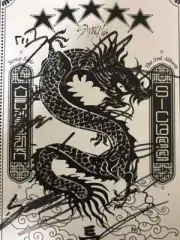 straykids special autographed album for sale