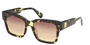 Max & Co. MO0094 55F Women’s Sunglasses Tortoiseshell Size 52