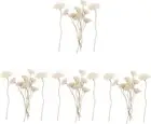 DOITOOL 40 Pcs Reed Diffuser Rose Aromatherapy Diffuser Essential Oil Diffuse...