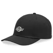 Dickies Essential Dad Cap