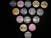 WVU Mountaineers buttons flat back or pin badge cabochons embellishments magnets