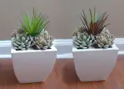 5 Mini Plants Artificial Mexican Snowball Succulent Plants Lifelike Landscape