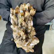 16.28LB Natural smoky Quartz Cluster Crystal Point vug mineral Specimen Healing