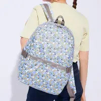 在飛比找Yahoo!奇摩拍賣優惠-新款熱銷 LeSportsac x Disney 唐老鴨 3