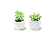 Artificial Succulent Plant 9Cm 2Pc Fake Succulent Plant In Mini Pot Home Decor Office Decoration Bookshelf Desk High Quality Pot