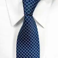 在飛比找蝦皮商城優惠-【vivi領帶家族】新款流行手打寬版領帶8cm（藍格紋）