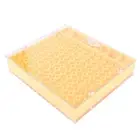Plastic Bee Cell Cups Kit Queen Rearing System Cultivating Box Queen Cage
