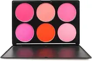 FantasyDayA A Professional 6 Colours Large Powder Blush/Blusher Makeup Palette Contouring Kit - Ideal for Professional and Daily Use