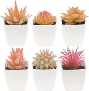 Quancru 6 Pcs Artificial Succulents Plants in White Pot Fake Small Succulent Decoration Echeveria Flower DIY Home Office Table Garden Wedding Party