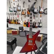 Epiphone Extura Prophecy Bengel Tiger Guitar