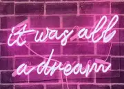 It Was All A Dream Pink Acrylic 24"x10" Neon Light Sign Lamp With Dimmer