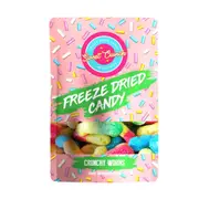 Sweet Crunch Freeze Dried Candy Crunchy Worms 50g x 10