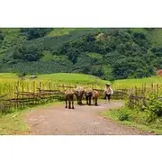 Save 5.00%! 7 Days in Northern Vietnam Discover Ninh Binh, Halong Bay, Sapa