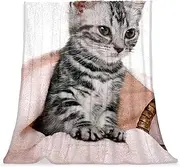 Plush Blanket, Nap Blanket, Warm Cozy Soft, Microfiber Blankets, Cat Gray
