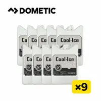 在飛比找momo購物網優惠-【Dometic | 忠欣代理】CI-220G 長效冰磚22