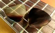 2 Zebu Horn Guitar Picks + Gibson Les Paul Guitar SG Standard Custom Studio ART