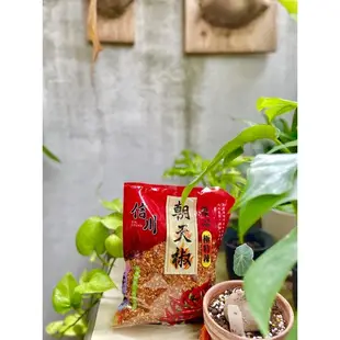 信川雞心朝天椒 乾辣椒 🌟辣椒粉🌟３００ｇ