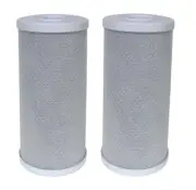 2 piece Big Blue Water Replacement Filter Carbon Block CTO 10" x 4.5" Filter