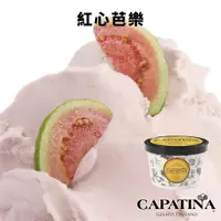 在飛比找蝦皮商城優惠-【CAPATINA義式冰淇淋】新鮮紅心芭樂冰淇淋分享杯(10