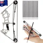 6" Mini Compound Bow Kit Kid Toy Gift RH LH Archery Arrows Target Shooting