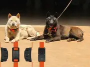 S9 Hunting GPS Tracker