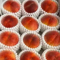 在飛比找蝦皮購物優惠-2-多【日本山形桃vs和歌山水蜜桃】水份飽滿 香甜多汁 桃之