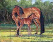 Ceramic Tile Mural Backsplash McDonald Horse Colt Equine Art MMA020