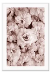 Blush Bloom