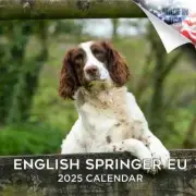 ENGLISH SPRINGER EU Wall Calendar 2025 Animal DOG PET Lover Gift