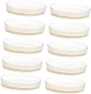 SOLUSTRE 10pcs Nutrient Agar Plate Glass Petri Dish Petri Dish with Lid Agar Plates Glass Culture Plate