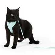 All Day Picnic Time Cat Harness & Lead Set Mint