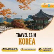 South Korea Travel eSIM 5 to 30 day Plan 1GB-20GB Highspeed 4G Data Unlimited 2G