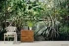 3D Water Plant Wallpaper Wall Mural Removable Self-adhesive 104