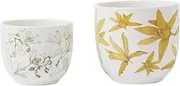 Maxwell & Williams Royal Botanic Gardens Australian Orchids Planter Set of 2 Yell/White Gift Boxed