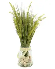 Creative Displays Green Grass Arrangement With Shells In Glass Vase With Rope Handle