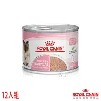 在飛比找Yahoo奇摩購物中心優惠-Royal Canin法國皇家 BC34W離乳貓罐頭主食濕糧