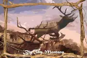 Big Sky Montana Elk Jumping Wildlife Art Travel Poster Large 16x24
