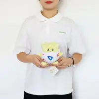 在飛比找蝦皮購物優惠-茗軒【玩偶】日本pokemon原裝正版精靈寶可夢皮卡丘波克比