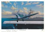 READE TILLEY HAND SIGNED STUNG BY THE WASP PRINT STAN STOKES WWII ACE